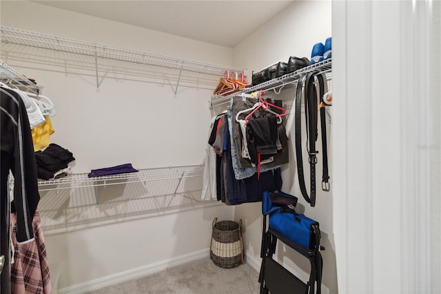 spacious closet featuring carpet floors