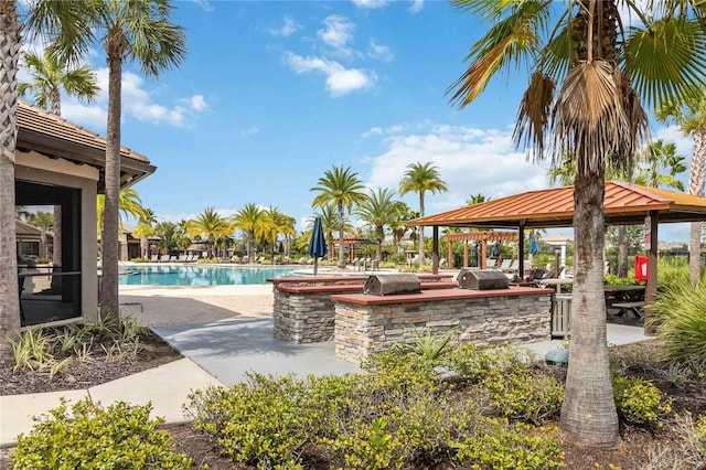 view of swimming pool with a patio and grilling area