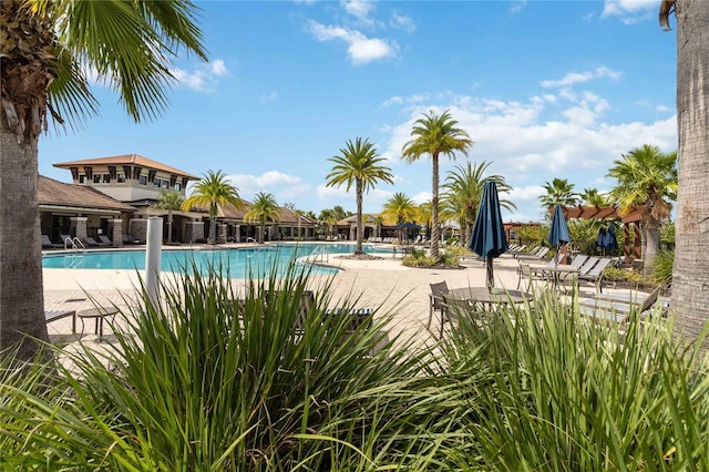 view of swimming pool featuring a patio area