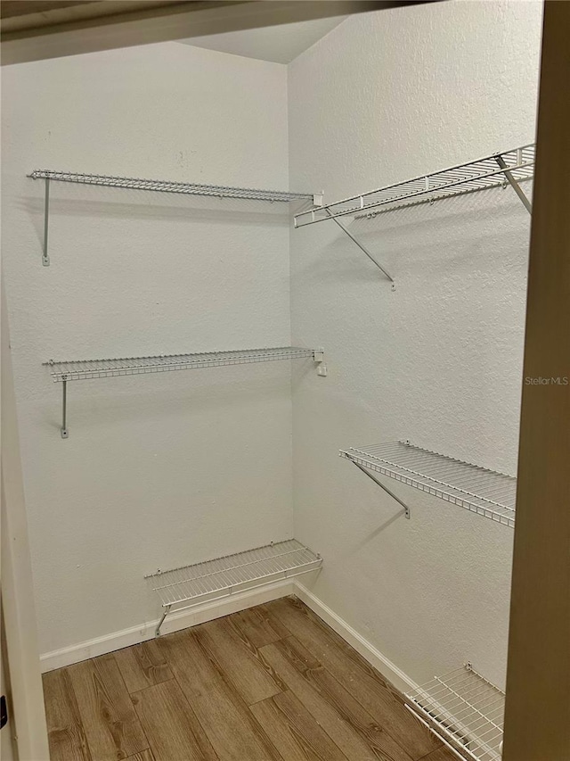 spacious closet featuring wood-type flooring