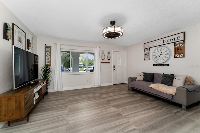 living room with a textured ceiling and hardwood / wood-style flooring