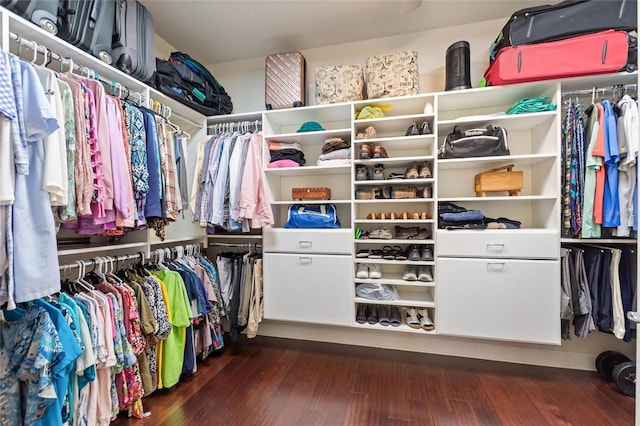 341 Navarra Ln, Davenport, FL 33837 - spacious closet with dark wood finished floors