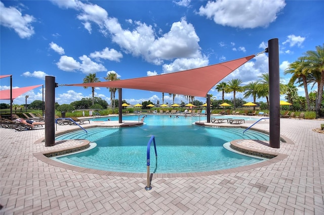 view of pool with a jacuzzi and a patio