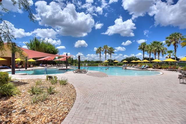 341 Navarra Ln, Davenport, FL 33837 - community pool with a patio area