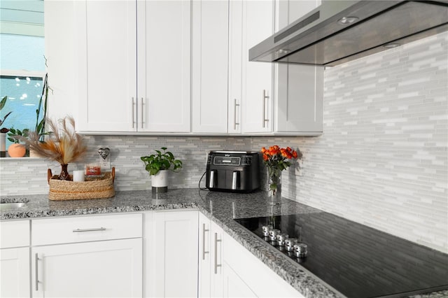 kitchen featuring white cabinetry, exhaust hood, and tasteful backsplash