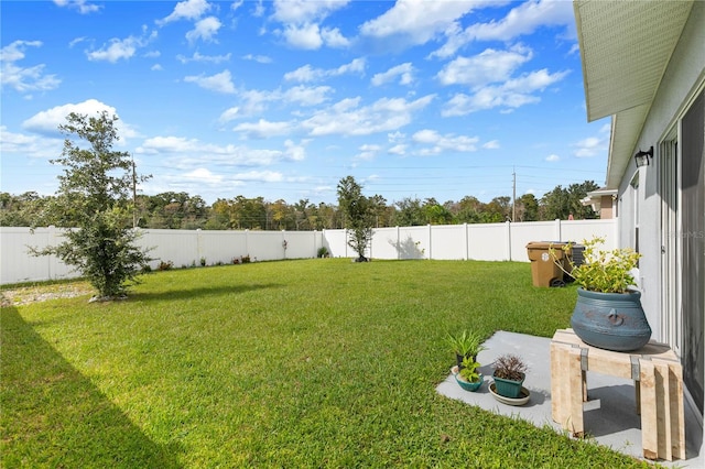 view of yard featuring a patio