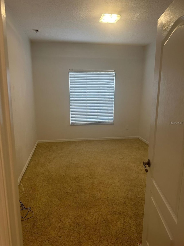 unfurnished room featuring carpet floors and a textured ceiling