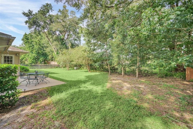 view of yard featuring a patio area