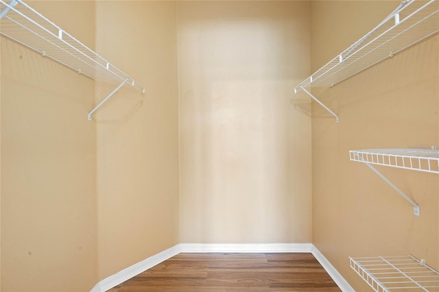 spacious closet with hardwood / wood-style flooring