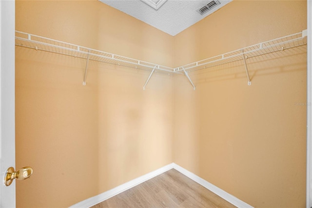 spacious closet with wood-type flooring