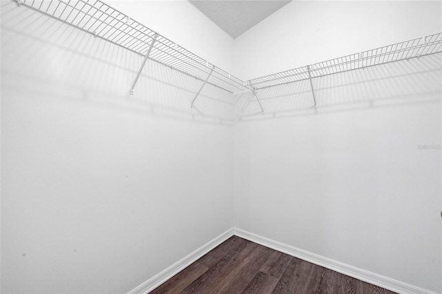 1548 Tiverton Blvd, Winter Garden, FL 34787 - spacious closet featuring dark wood-style flooring