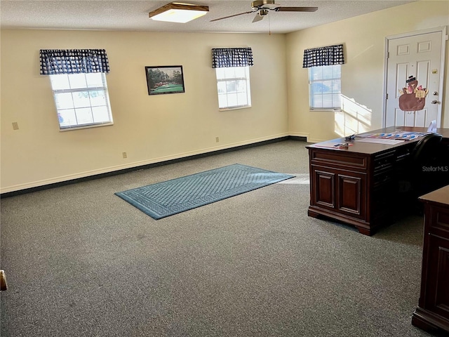 carpeted office space with plenty of natural light, a textured ceiling, and ceiling fan