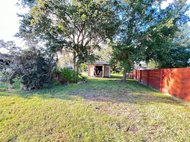 view of yard with a storage unit