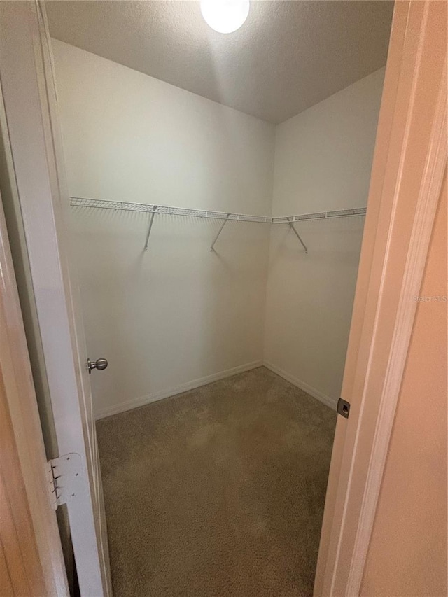 spacious closet with carpet floors