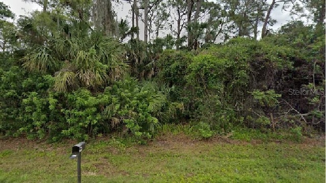 20284 Emerald Ave, Port Charlotte FL, 33952 land for sale