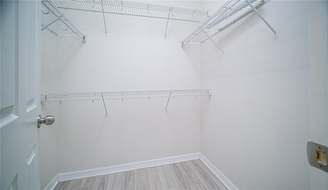 walk in closet with hardwood / wood-style flooring