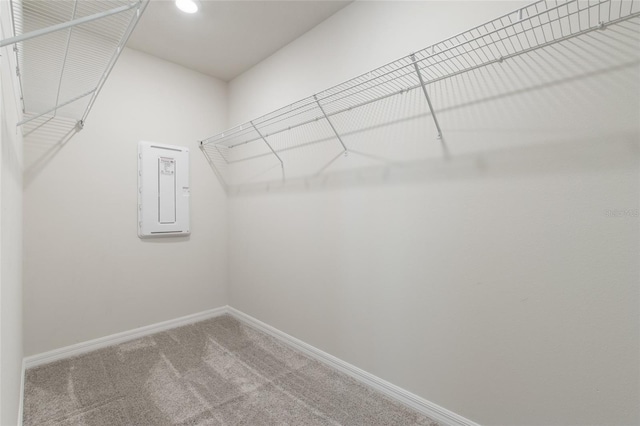 spacious closet with carpet