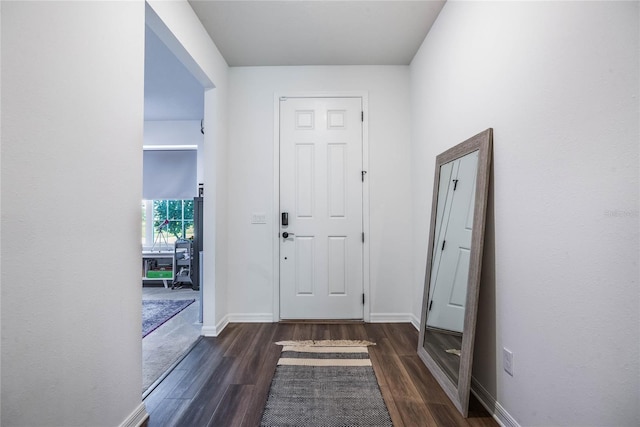 entryway featuring dark wood-type flooring