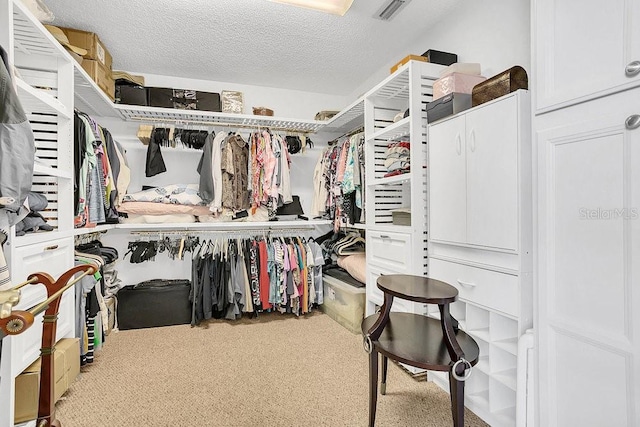 spacious closet with carpet