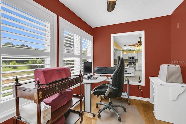 office featuring ceiling fan and light hardwood / wood-style flooring