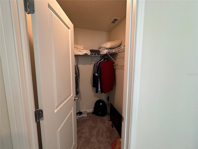 walk in closet with carpet floors