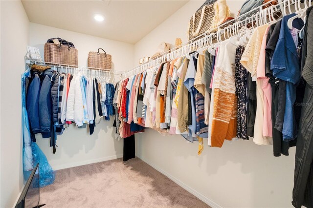 walk in closet with carpet floors