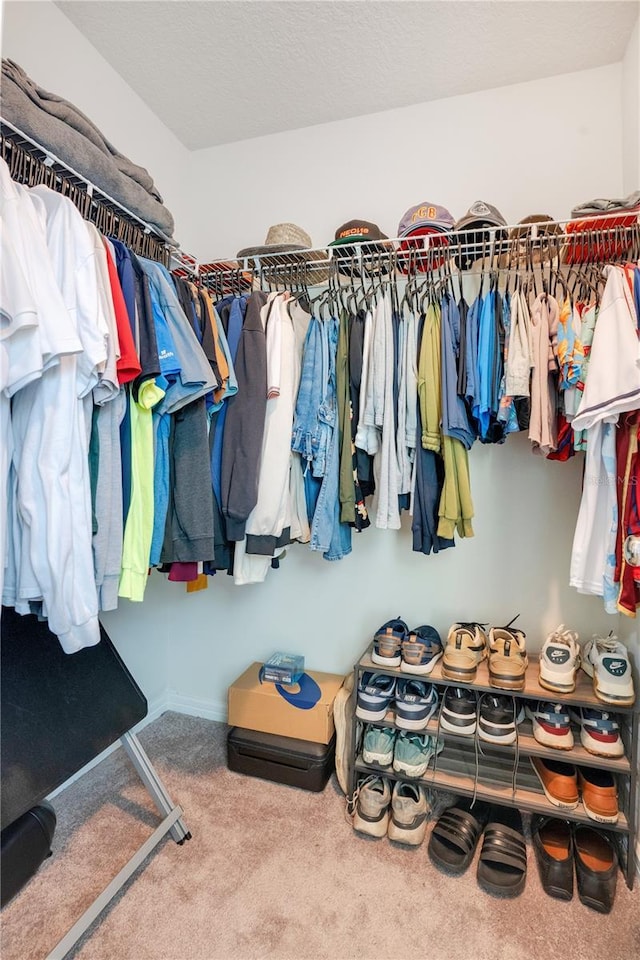 spacious closet with carpet