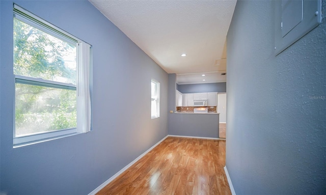 1501 NE 57th St, Ocala, FL 34479 - corridor featuring light wood finished floors, a wealth of natural light, electric panel, and baseboards