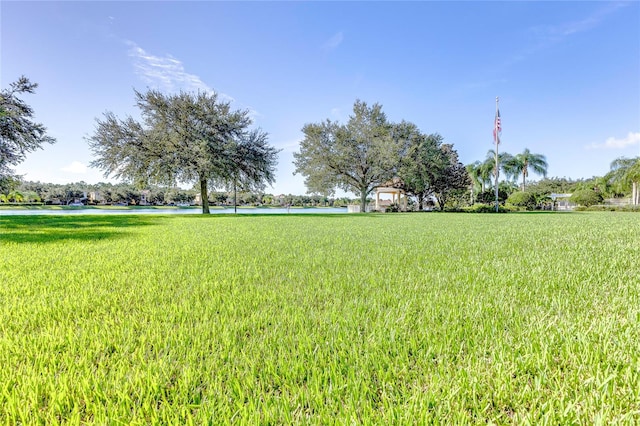 view of yard with a water view