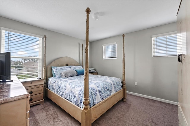 bedroom featuring carpet floors