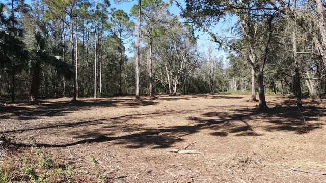 3165 Stewart Blvd, Kissimmee, FL 34746 - photo 2
