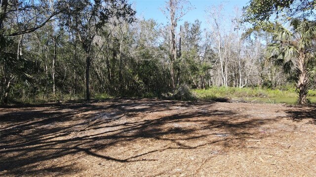 3165 Stewart Blvd, Kissimmee, FL 34746 - photo 5