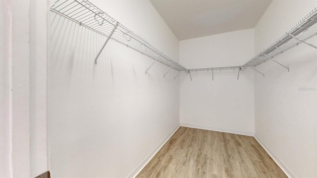 walk in closet featuring light hardwood / wood-style floors