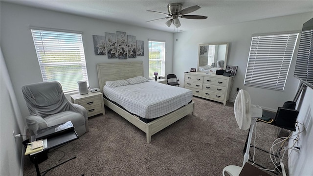 carpeted bedroom with multiple windows and ceiling fan