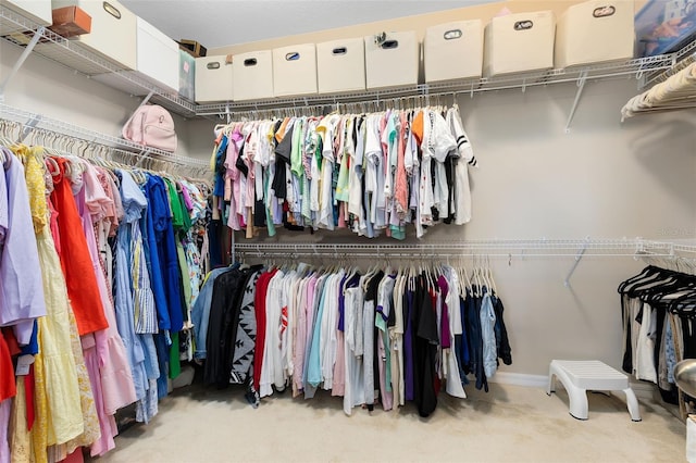 spacious closet featuring light colored carpet