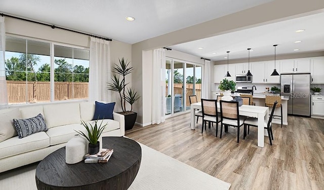 living room with light hardwood / wood-style flooring and a healthy amount of sunlight