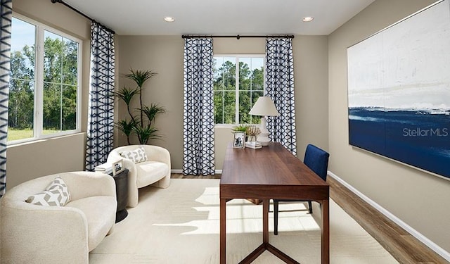 office space featuring hardwood / wood-style floors