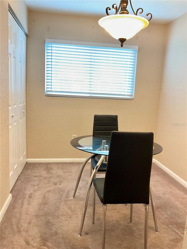 dining area featuring carpet flooring