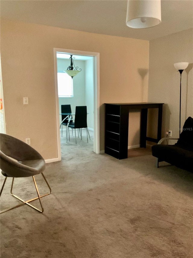 sitting room with carpet floors