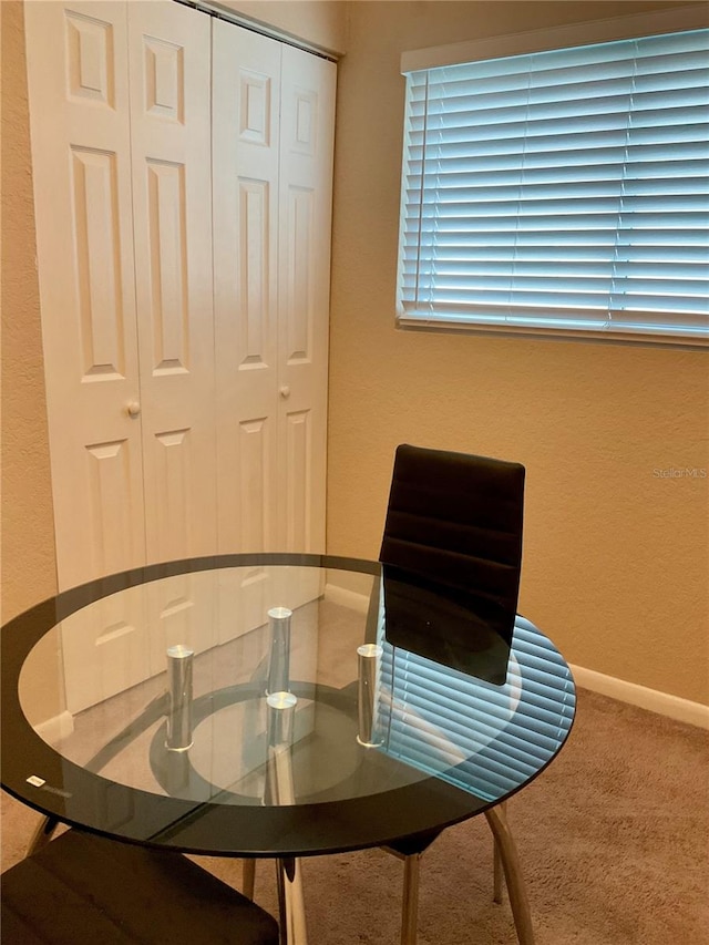 dining room featuring carpet flooring