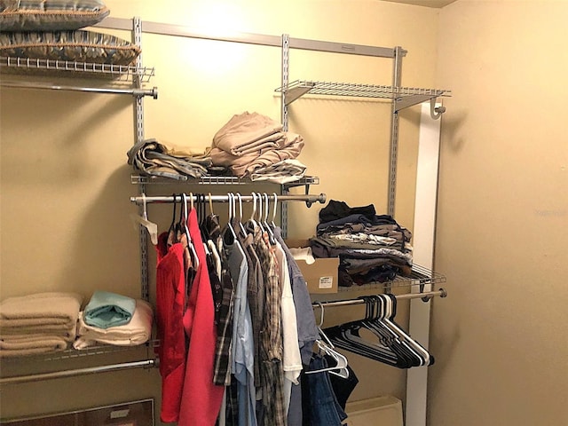 view of spacious closet