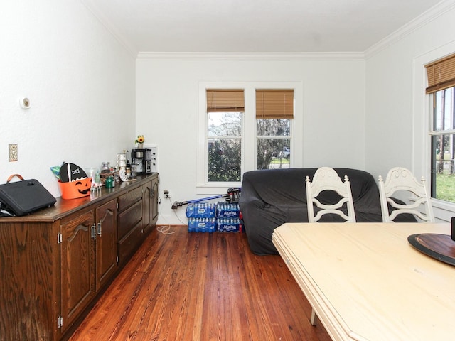 living room with ornamental molding and dark hardwood / wood-style flooring