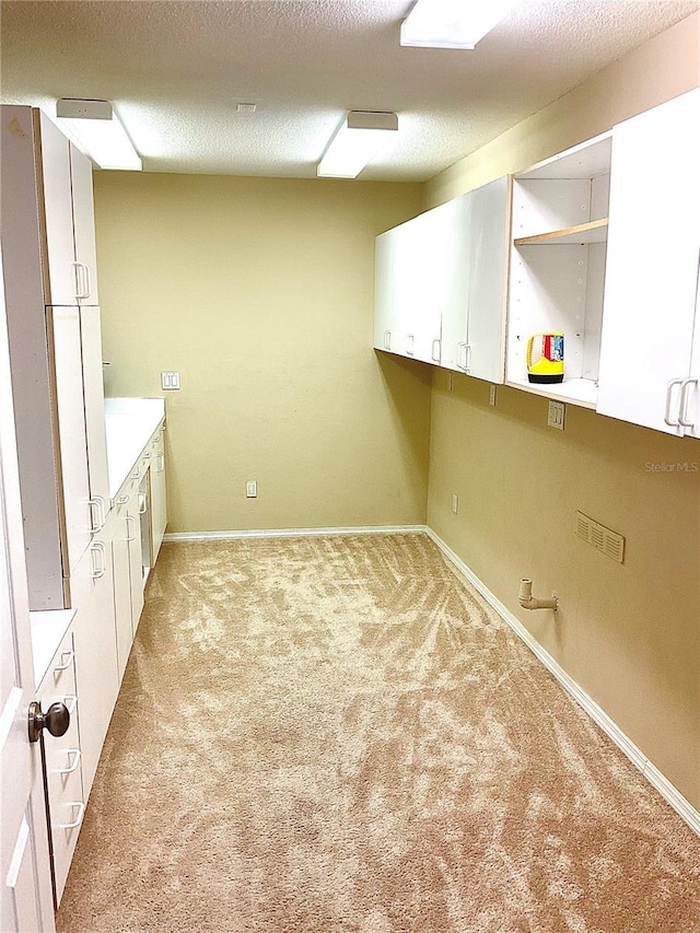 clothes washing area with light colored carpet, a textured ceiling, and baseboards