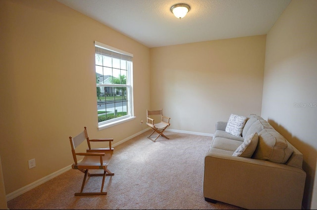 sitting room with carpet