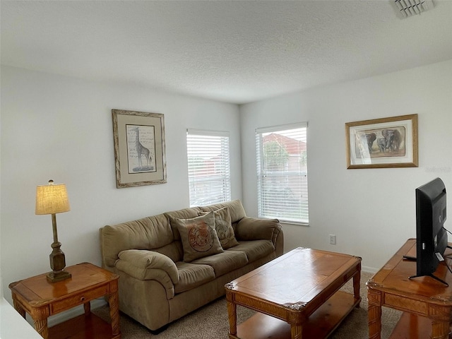 living room with a textured ceiling and carpet