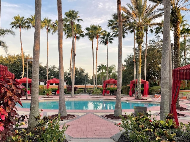 view of pool with a patio area