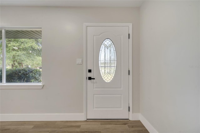 foyer with light wood-type flooring and a healthy amount of sunlight