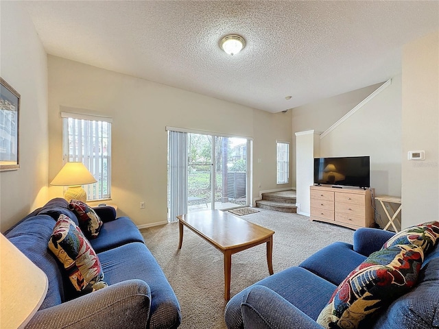 carpeted living room with a textured ceiling