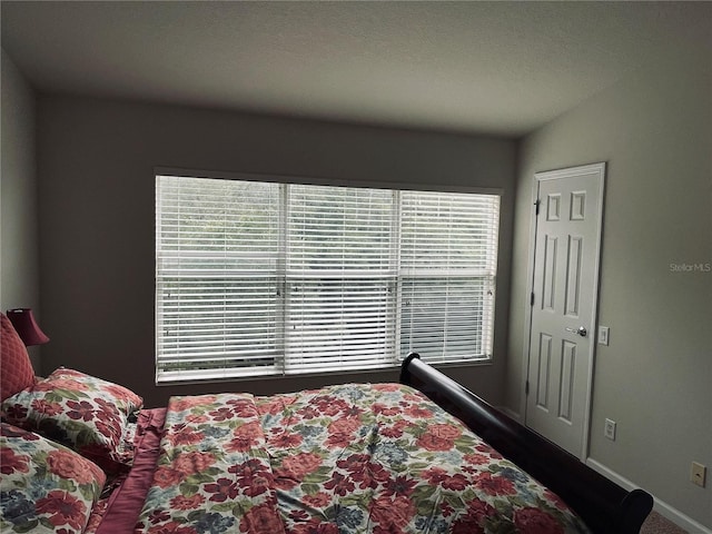 bedroom with multiple windows