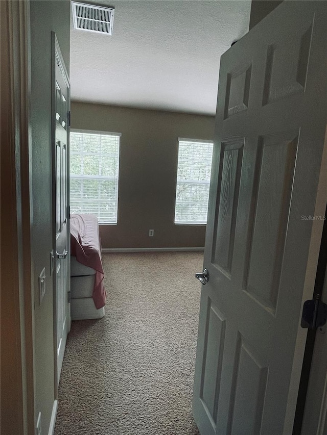 interior space featuring carpet flooring, a textured ceiling, and a healthy amount of sunlight